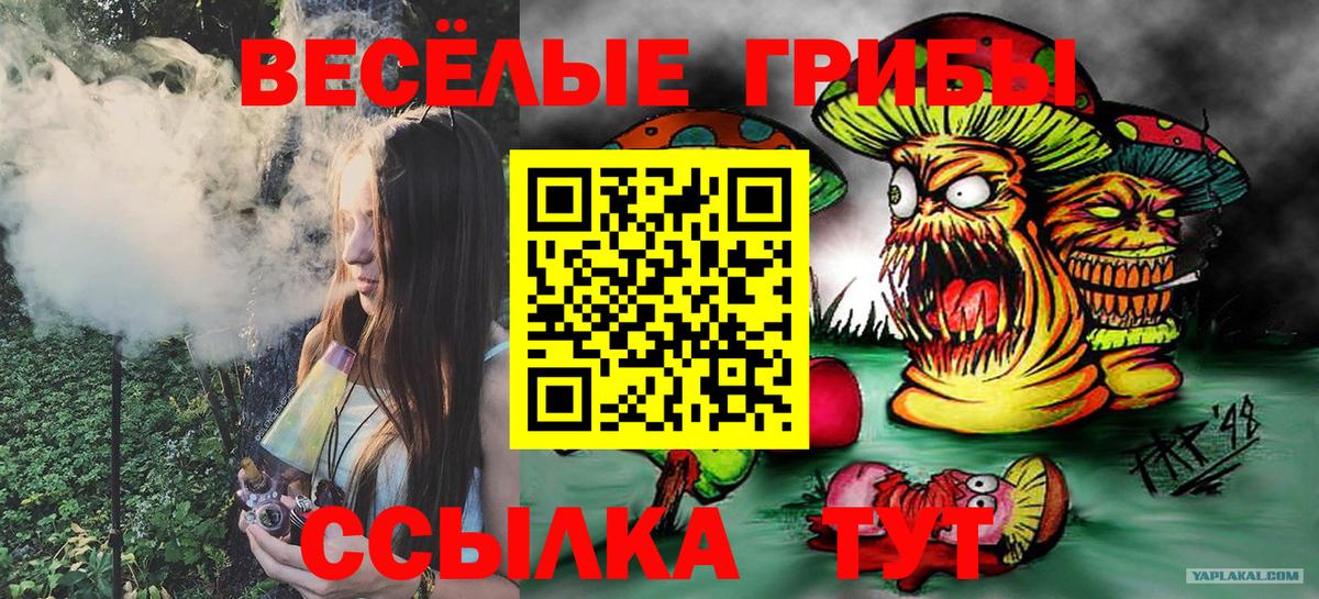Псилоцибиновые грибы ЛСД  Вход с VPN  Карабулак  Галлюциногенные грибы мухоморы 