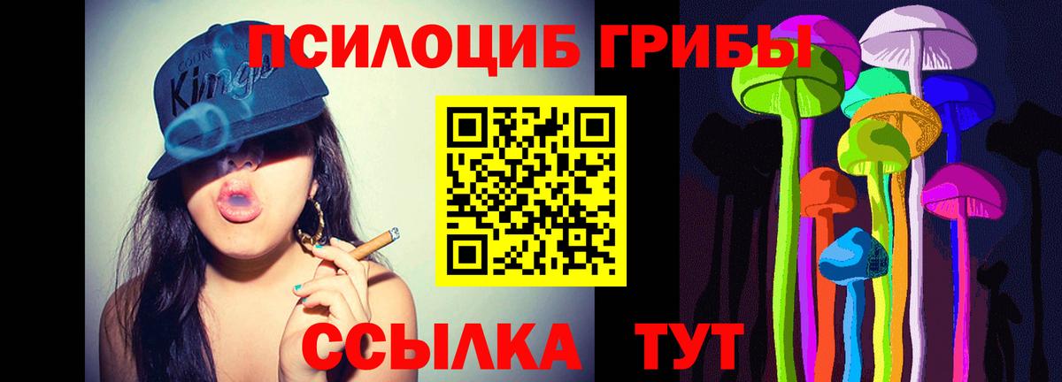 Псилоцибиновые грибы Cubensis Карабулак